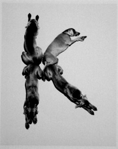 Image description is not available for 2001.069